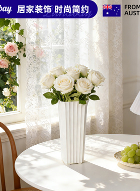 Lunabay澳大利亚塑料花盆花瓶摆件桌面鲜花仿真花插花桶现代 LB45