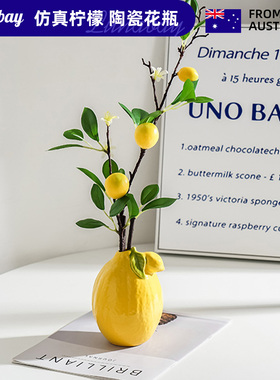 Lunabay澳大利亚仿真杨桃陶瓷花瓶插花轻奢桌面装饰摆件质感 LB42
