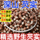 正宗肇庆芡实500g广东农家自产野生欠实鸡头米干货正品 特级中药材
