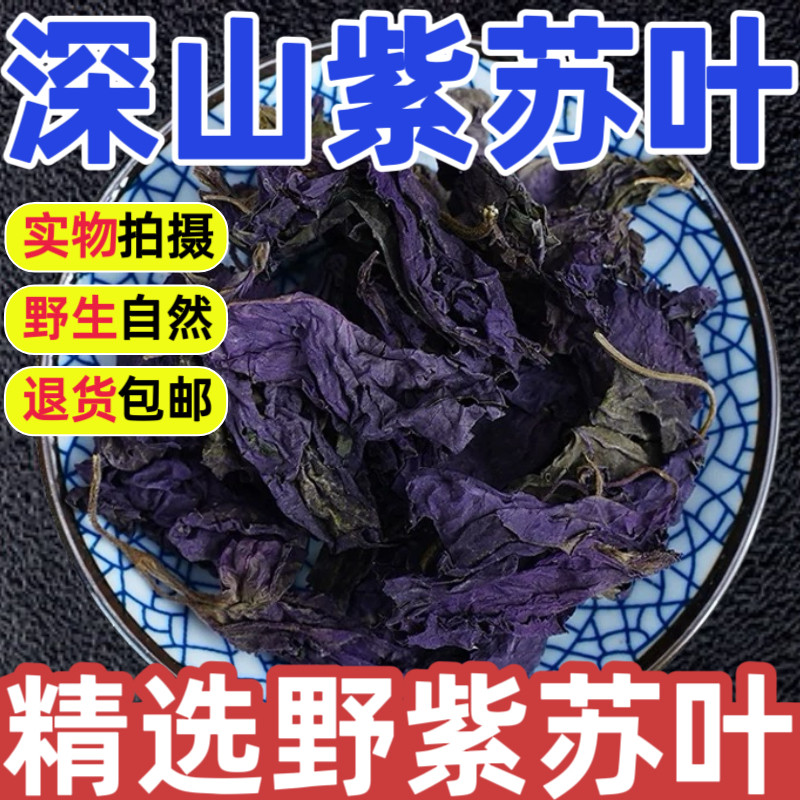 野生紫苏叶中药材紫苏叶新鲜食用干紫苏叶干紫泡脚可打苏叶粉500g