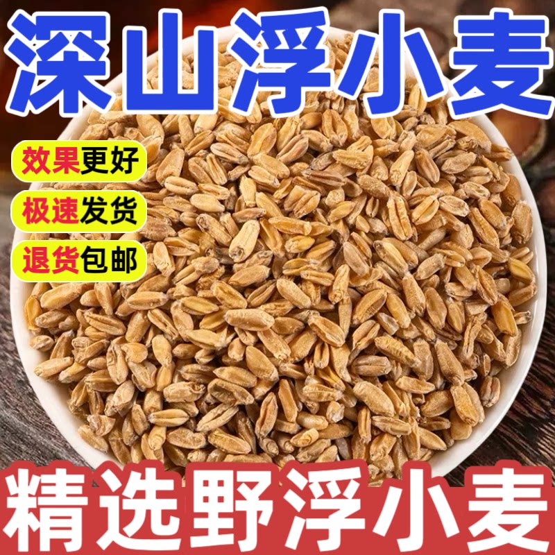 野生小麦中药材正品500g特级深山新货浮小麦茶瘪小麦干小麦泡水喝