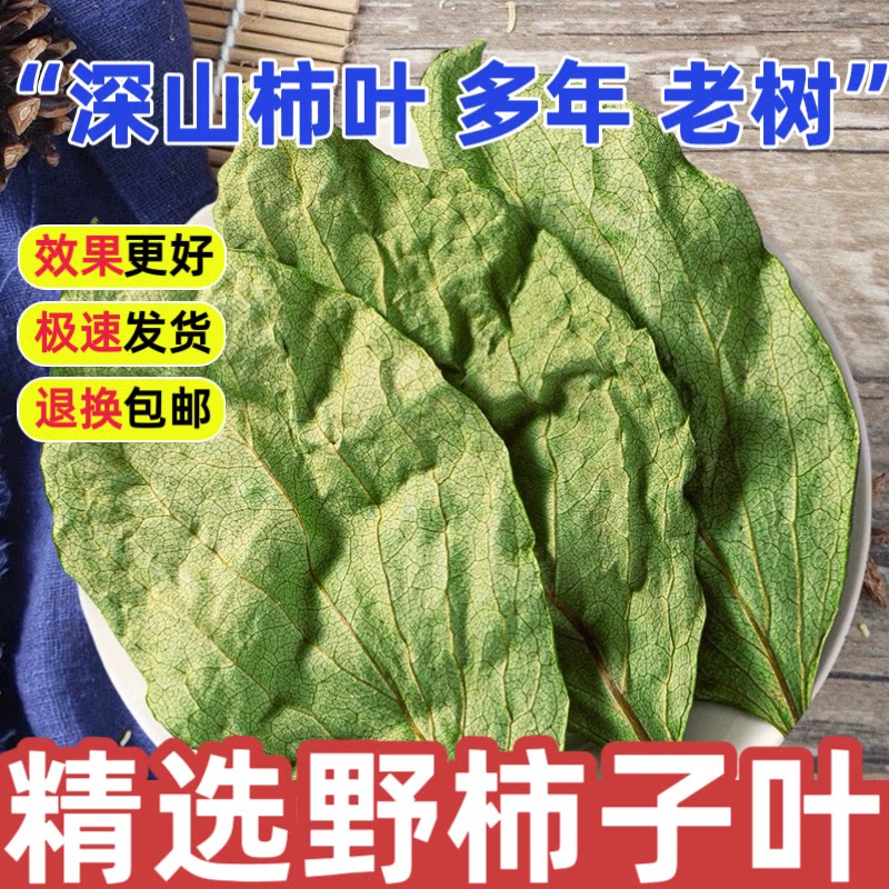 野生柿子叶中药材正品500g特级深山霜后柿子叶茶泡水喝降血压降糖