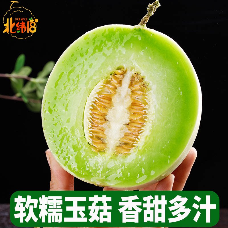 正宗山东冰淇淋玉菇甜瓜8斤新鲜