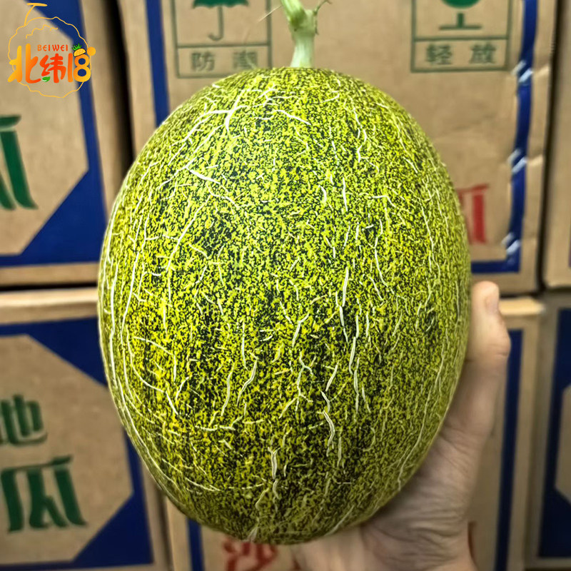 海南青帝蜜瓜倾帝网纹瓜脆甜香甜多汁新鲜应季水果哈密瓜产地直发,水产肉类/新鲜蔬果/熟食,哈密瓜,淘宝优惠券,粉丝福利购,淘宝优惠卷