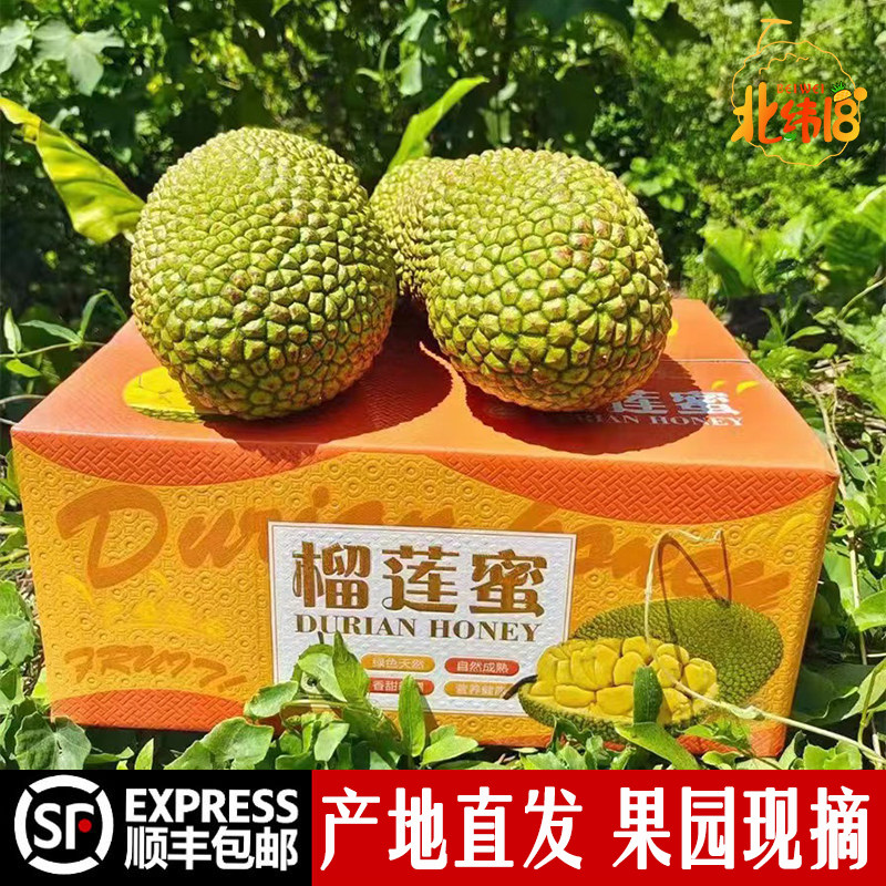 海南榴莲蜜一整个大礼盒新鲜热带水果软糯手撕湿苞菠萝蜜金钱顺丰