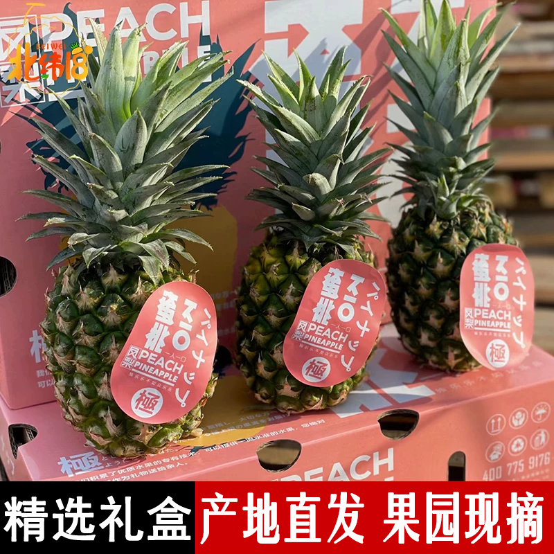 海南冬蜜凤梨树上熟5斤大果蜜桃凤梨甜蜜蜜台农13号纯甜蜂蜜水果