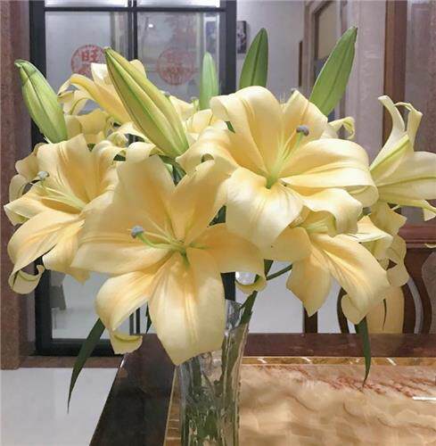 香水百合多头鲜花云南基地直发水养鲜花家居装饰送朋友送长辈花束