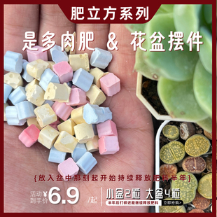肥立方肥料多肉植物土缓释肥固体肥料多肉营养肥多肉花盆小摆件