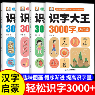 识字大王3000字正版 书籍全套四册幼儿识字书幼儿园儿童大班学前班早教启蒙幼小衔接时光学思维导图象形识字速记1600字畅销书排行榜