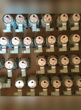 OVAL VALVE NPI45B10 NPI45B30 议价