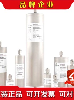 美国ENTEGRIS纯化器GPUS2500FHX08R00 议价