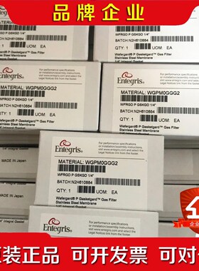 美国ENTEGRIS气体过滤器WG2F02RR2原装 议价