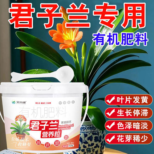 君子兰花专用有机缓释肥黄叶转绿