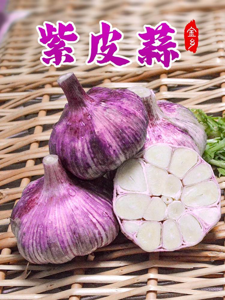 山东大蒜2025紫皮农家大蒜干蒜蒜大个头大蒜头干蒜5斤大蒜头蒜