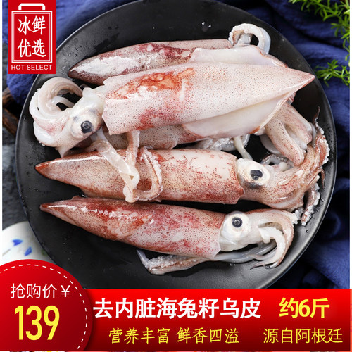 去内脏海兔籽乌皮笔管鱼鲜活海鲜