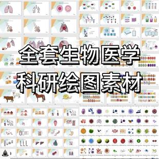 ppt科研绘图素材全套生物医学可编辑插图细胞流程图通路图模型