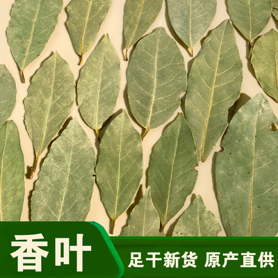 绿香叶月桂叶另售桂皮八角丁香小茴香草果组合香料调料大全