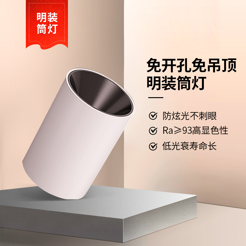 無主燈明裝射燈深杯防眩led孔家用客廳天花燈照明圓形吸頂式筒燈在類目 家裝主材, 燈具燈飾, 筒燈中 - 來自Buy2taobao.com提供專業的淘寶代購服務