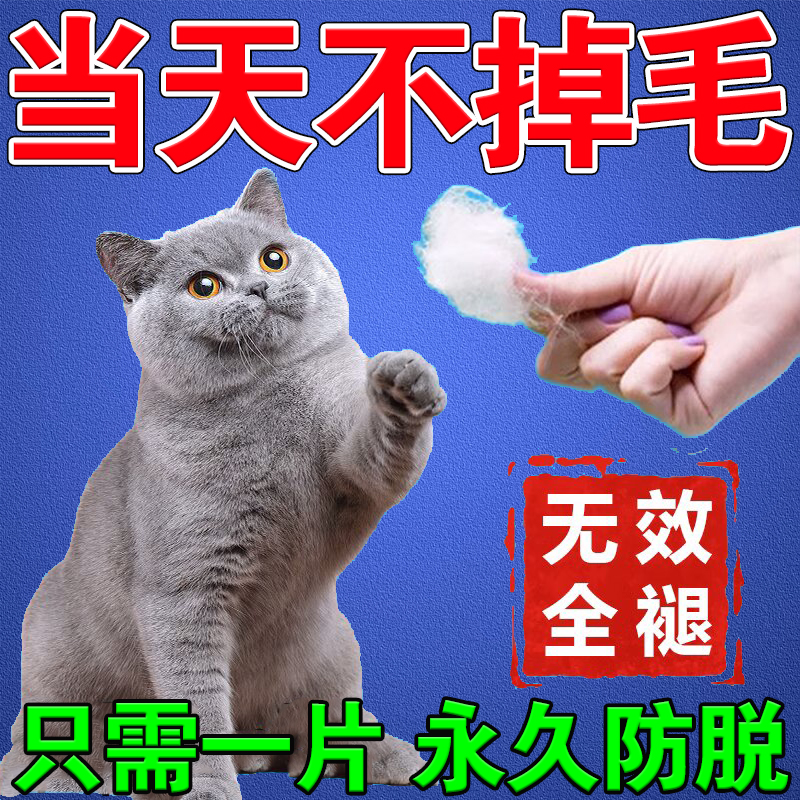 猫咪仿掉毛神器热销TOP第一