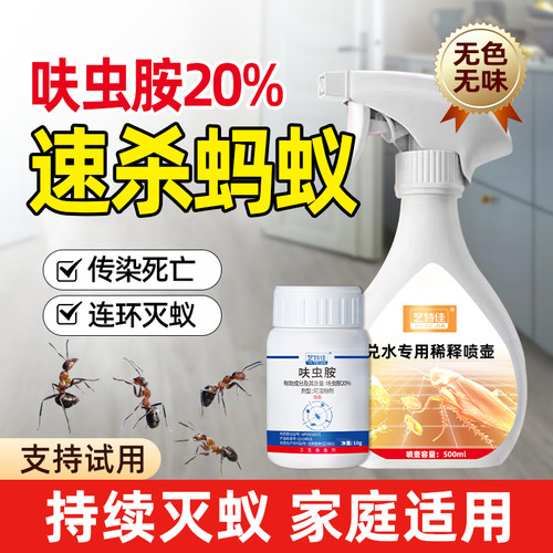 蚂蚁杀虫剂灭蚂蚁一窝端