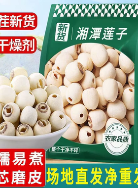 湘潭无芯莲子干货正品新鲜磨皮非特级去皮莲子煮粥食用干货批发