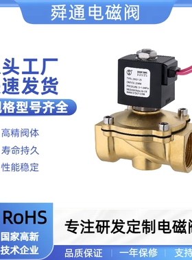 厂家直销2WS1-15直拉膜片式DN15DN20DN25线圈AC220VDC24V电磁阀