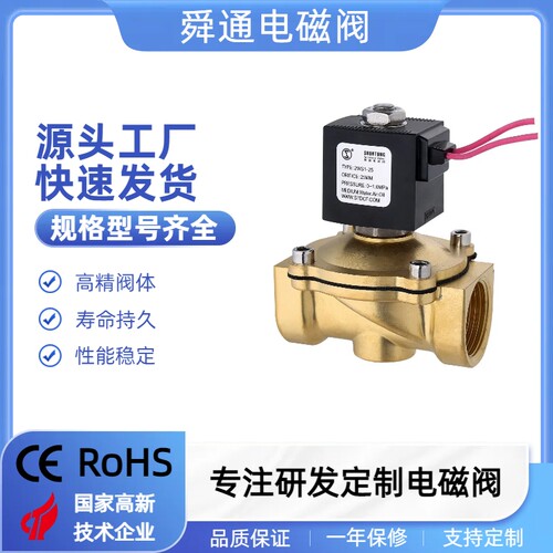 厂家直销2WS1-15直拉膜片式DN15DN20DN25线圈AC220VDC24V电磁阀