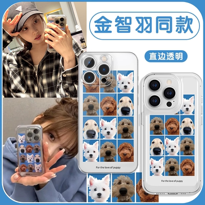 金智羽同款狗狗证件照高透软壳