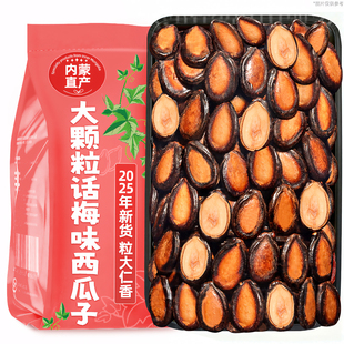 内蒙古特产话梅味西瓜子净重500g2025年新货大颗粒炒货小零食批发