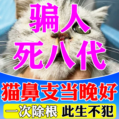 呼吸道感染营养液猫鼻支试纸