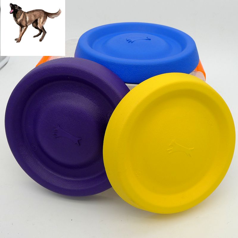 大型犬飞碟金毛飞碟边牧