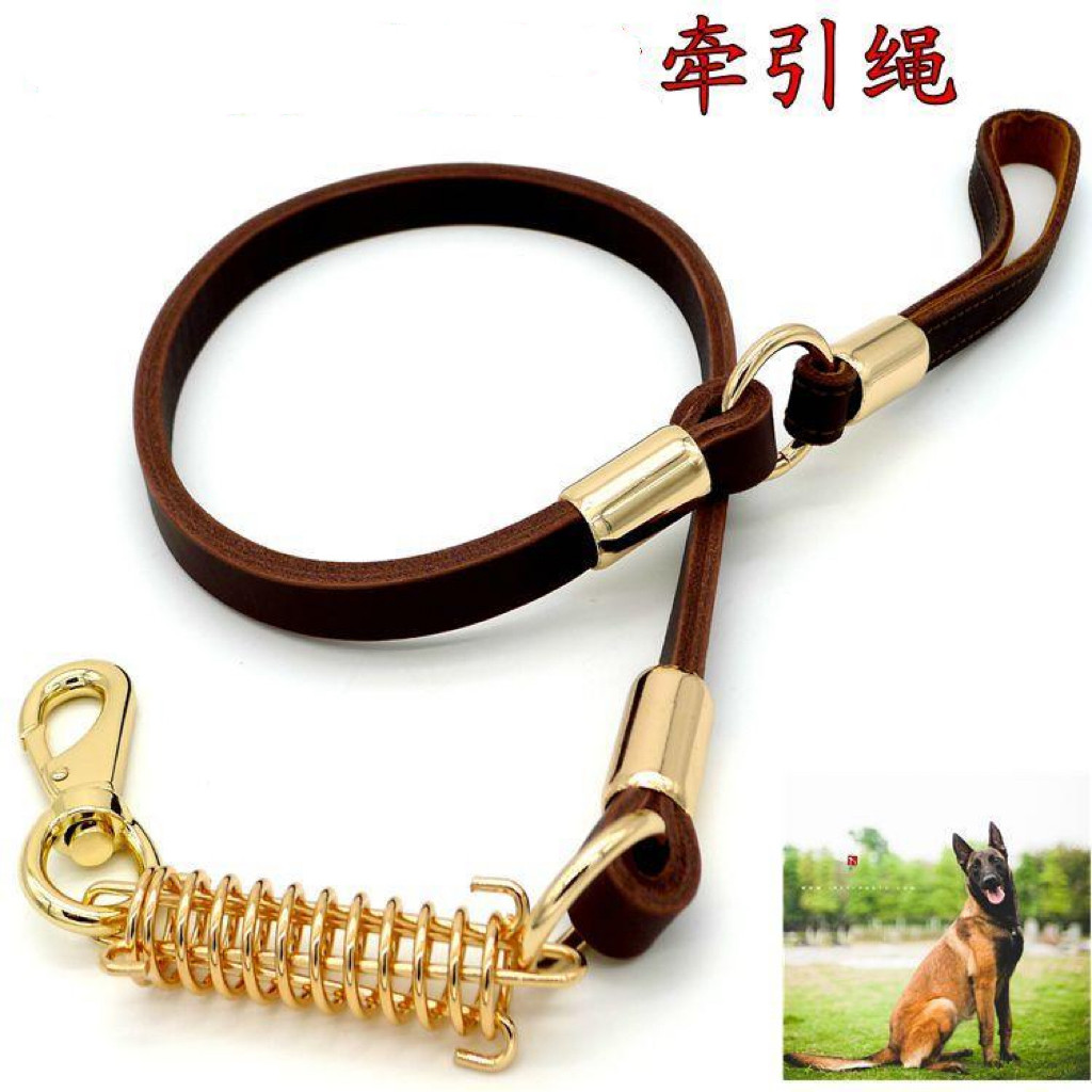 宠物马犬遛狗德牧拉布拉多金毛牵