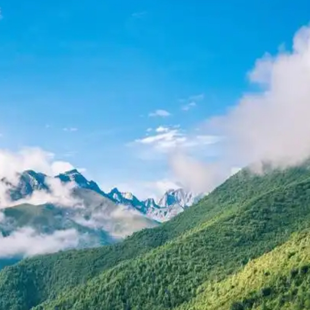 88VIP会员专享冲刺淘气值升级天猫积分优惠开通0.01元壁纸养号