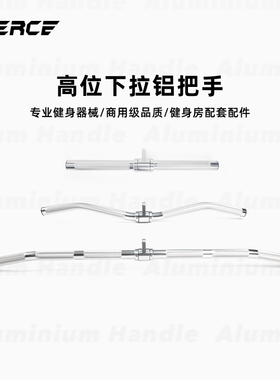 飞尔思高位下拉把手飞鸟龙门架健身器材力量器械配件升级款铝合金