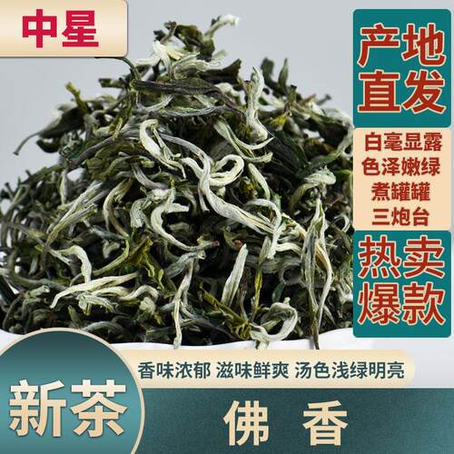 甘肃罐罐茶春尖茶佛香绿茶茶叶