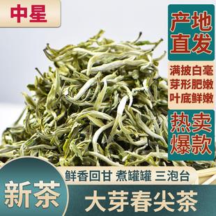 2025新茶甘肃罐罐茶大芽春尖茶兰州配三泡台八宝茶清茶浓香耐煮泡