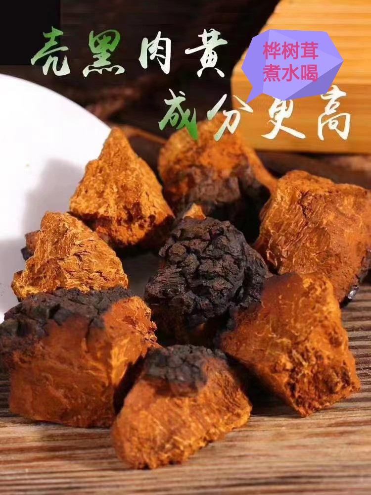 长白山桦树茸野外正品内黄外黑远东白桦茸桦褐孔菌煮水六克糖友茶