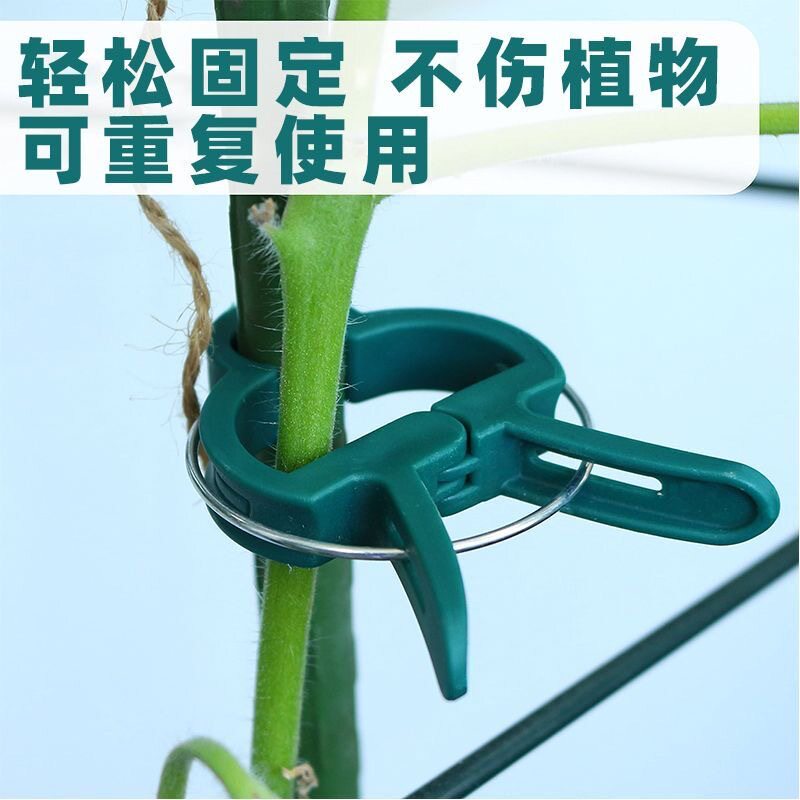 跨境园艺夹子蝴蝶兰夹子植物园林夹子套装番茄植物夹塑料夹子