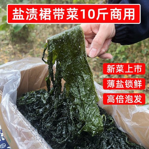 盐渍裙带菜10斤整箱半干裙带叶海带芽嫩苗餐饮商用火锅麻辣烫食材