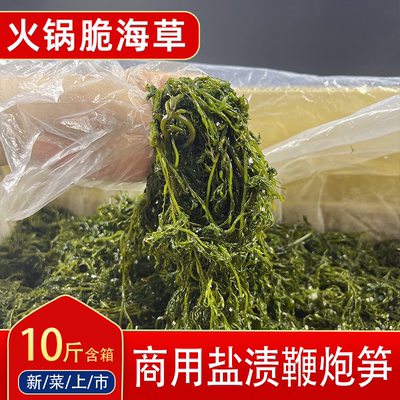 海藻商用鞭炮笋海草一箱火锅食材