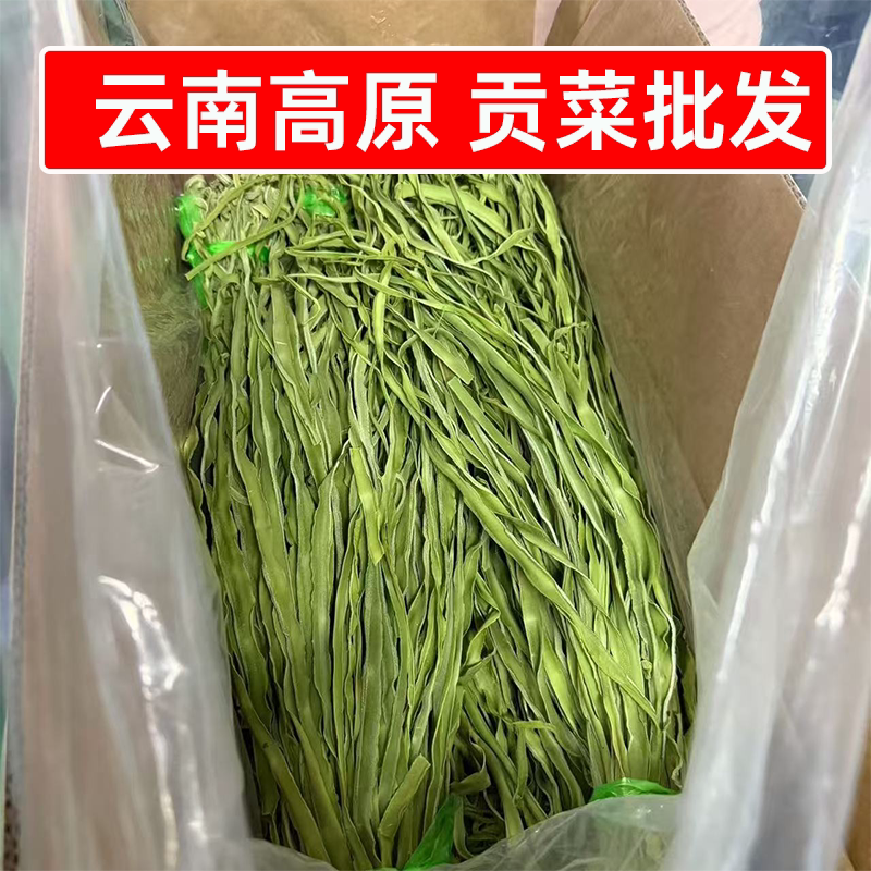精选云南高原贡菜干8斤批发商用贡菜一箱火锅辣卤鸭脖凉拌菜食材