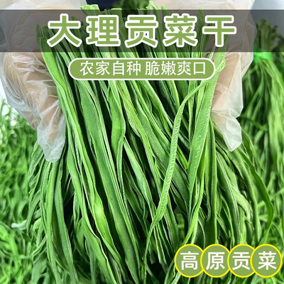 精品贡菜云南大理贡菜干苔菜农家
