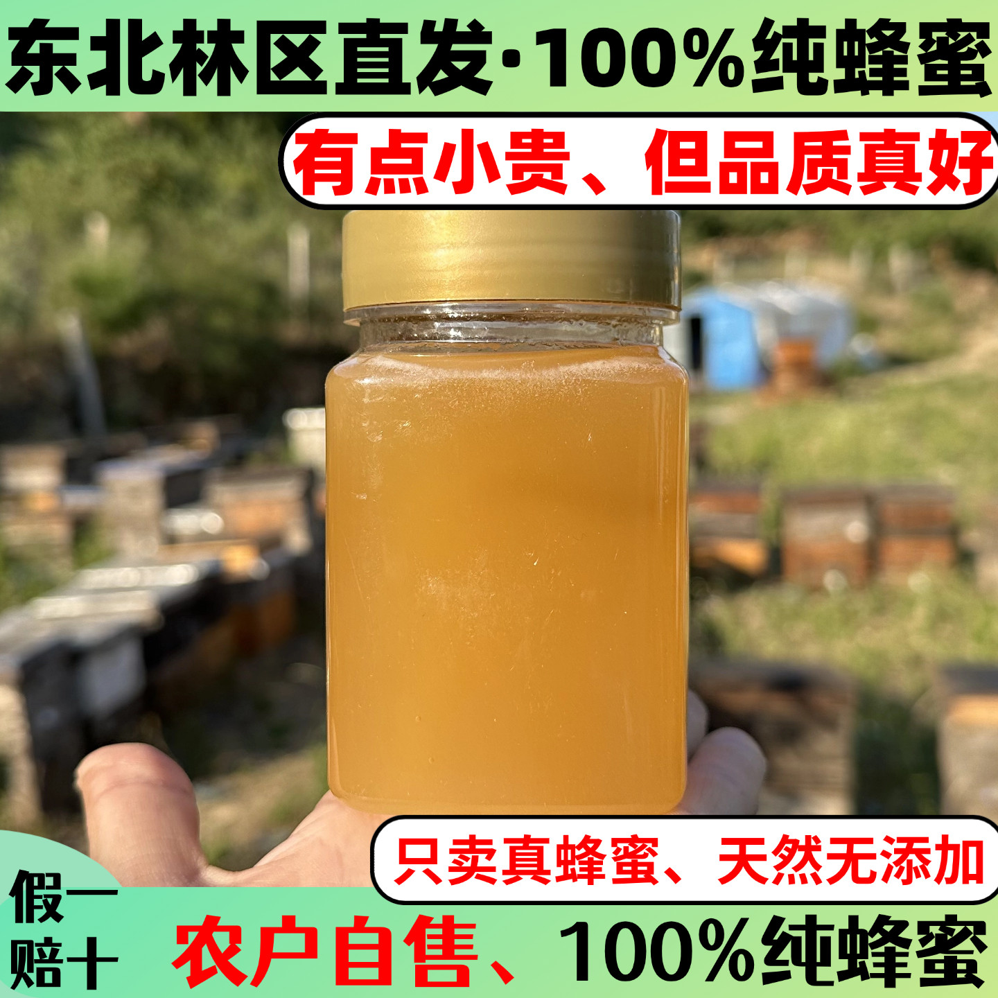2025蜂蜜东北纯正天然农家土蜂正宗百花蜜椴树蜜黄柏蜜蜂农直发