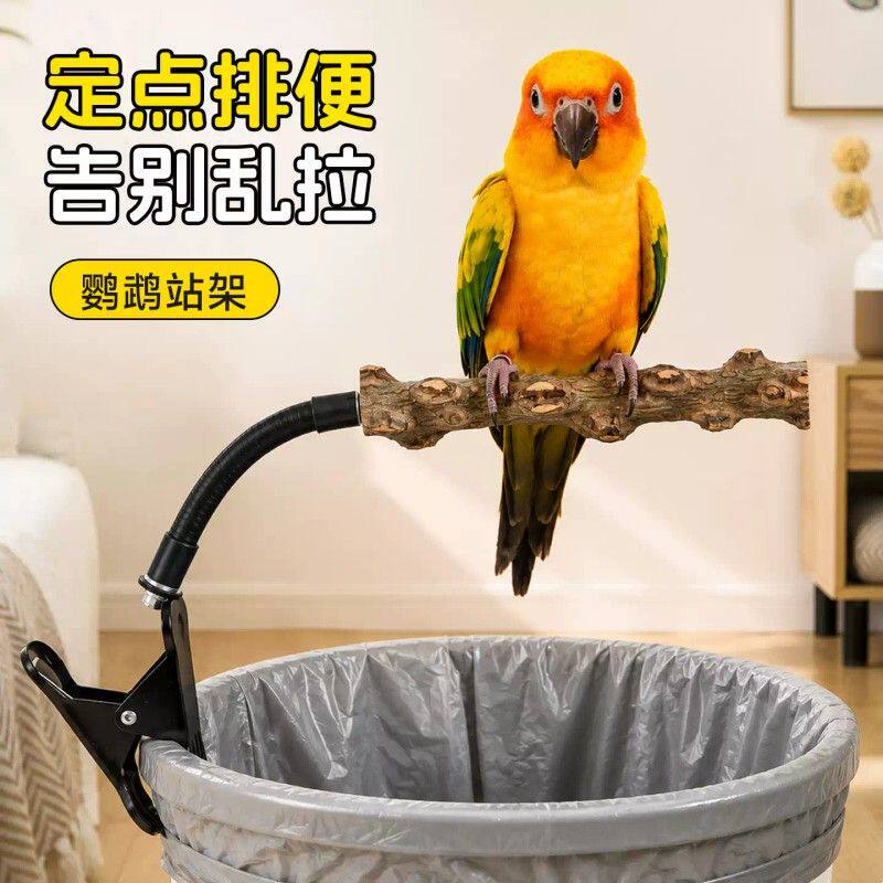 鹦鹉定点排便站架训练专用拉屎神器垃圾桶花椒木站杆马桶厕所用品