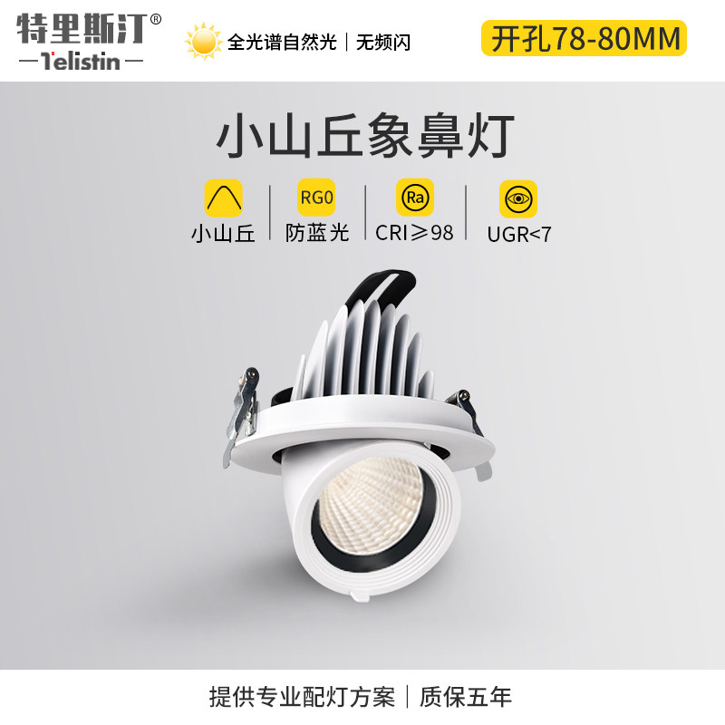 象鼻灯可调角度嵌入式背景墙小山丘洗墙走廊过道照画 画led天花板