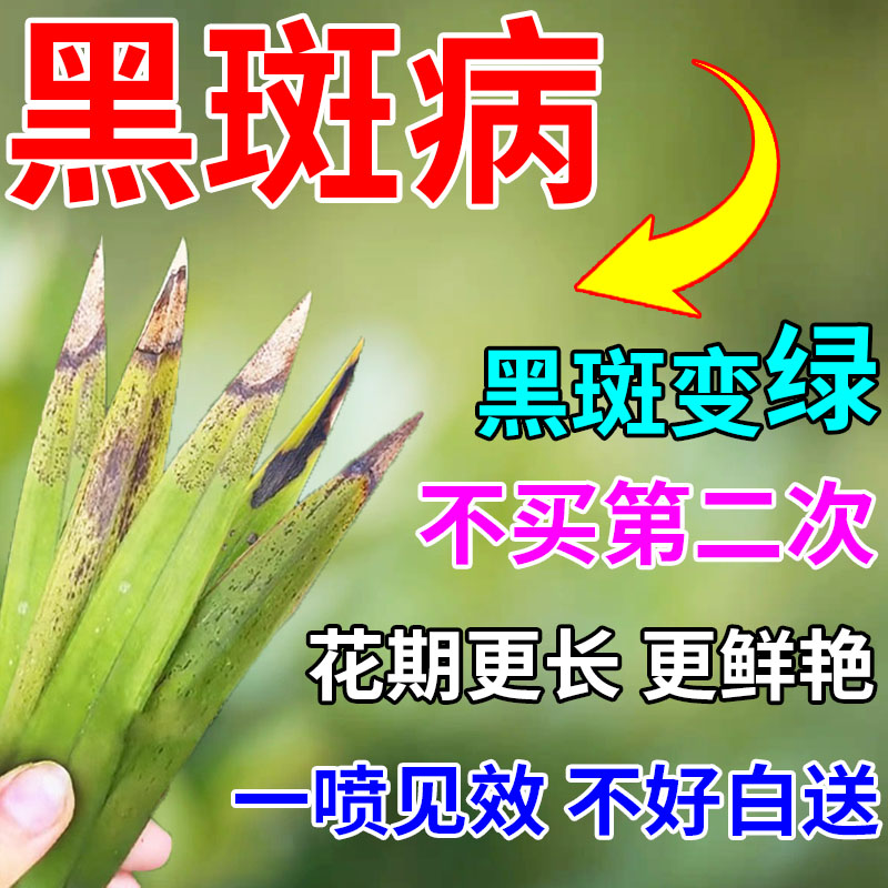 兰花黑斑病专用药肥料治黄叶焦尖发黑烂根神器兰花系列兰花杀菌剂