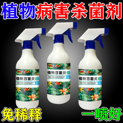 植物百菌灵花病康喷剂多灵菌