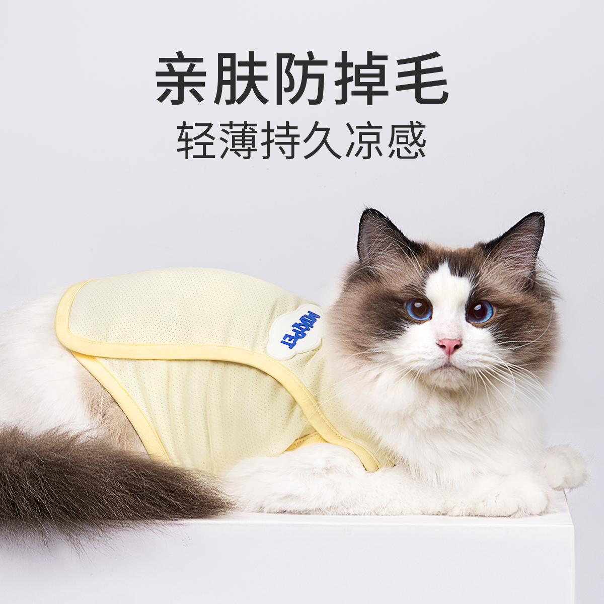 小猫猫衣服夏日护肚衣2025新款