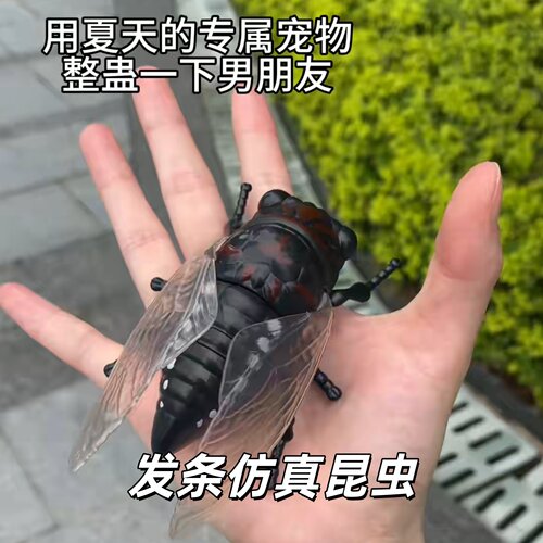 仿真昆虫儿童趣味创意中国大陆