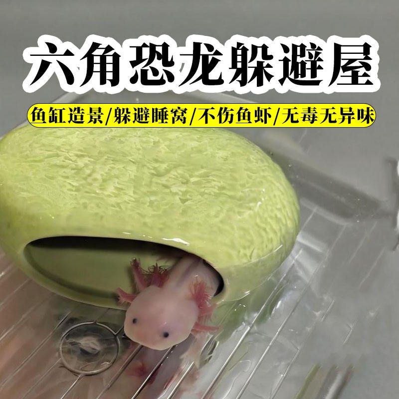 六角恐龙躲避屋专用用品六角蝾螈恐龙鱼生态装饰鱼缸造景大号景观